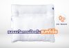 Dpillow หมอนใบแรกของโลก ป้องกันแบคทีเรียได้แบบถาวร