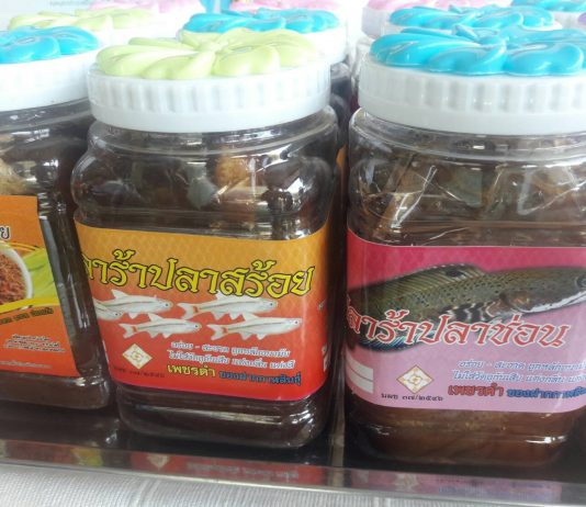 ปลาร้า ‘เพชรดำ’ ดาวเด่นแห่งอีสาน