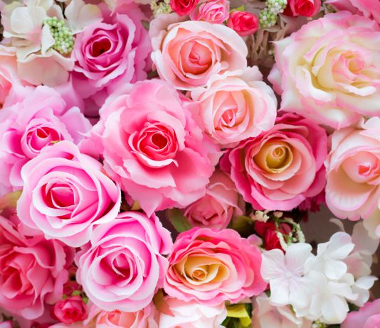 วันวาเลนไทน์ในประเทศไทย: สิ่งที่ผู้หญิงต้องการและความคิดเห็นของผู้ชาย