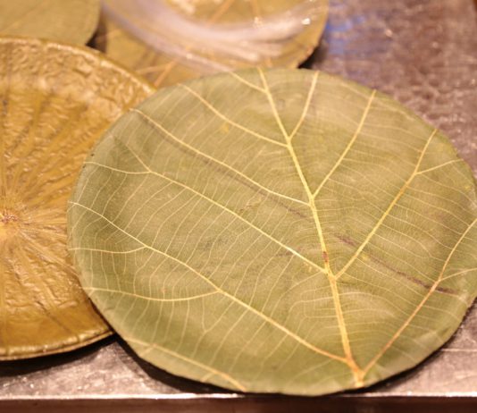 ‘จานใบสัก’ ลดขยะพิษ เพิ่มมูลค่าส่งออก