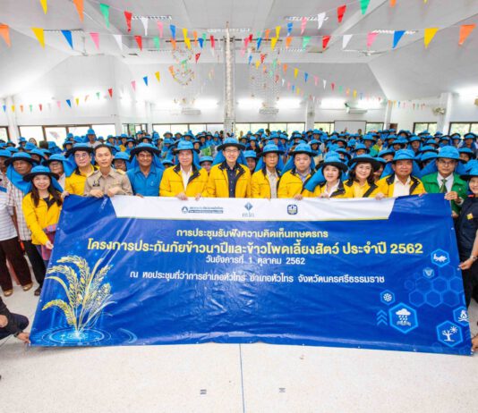 คปภ.ปลื้ม! ประกันภัยข้าวนาปียอดทะลุ 27.99 ล้านไร่