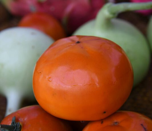 นศ.อาชีวะ ‘นวมินทราชูทิศ’ ผลิตสารเคลือบผิวผักและผลไม้สกัดจากเปลือกแก้วมังกรและใบย่านาง