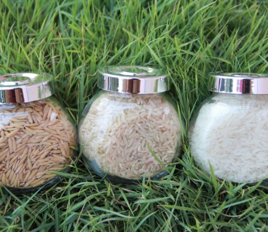 ข้าวหอมมะลิดินภูเขาไฟบุรีรัมย์