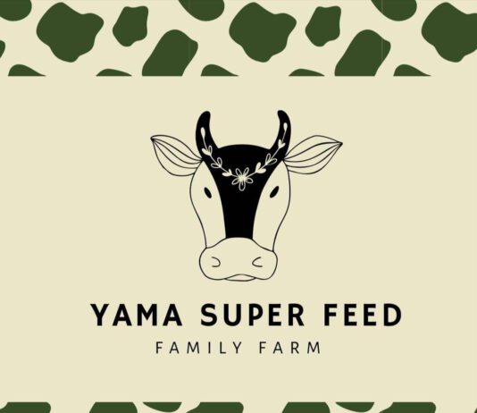 สุดเจ๋ง !! YAMA Super Feed นวัตกรรมชุมชนสมุนไพรแท้ลดปัญหาเต้านมอักเสบโคนม คว้าชัยเวทีประกวดนวัตกรรม