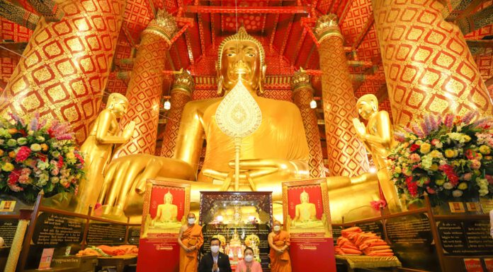ทิพยประกันภัย จัดโครงการ “พลังบุญทิพย 9 เดือน 9 ปีที่ 14”