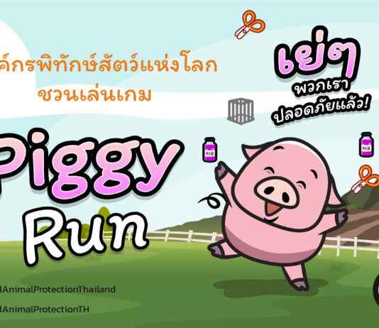 ครั้งแรกในไทย! องค์กรพิทักษ์สัตว์แห่งโลก เปิดตัวเกม Piggy Run
