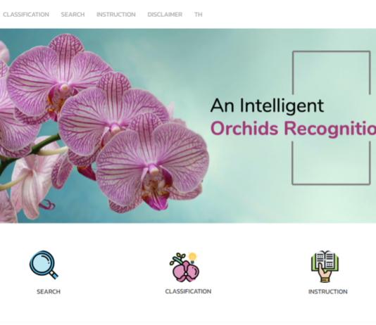 “ออคิดเดเตอร์” แอปพลิเคชัน จำแนกสายพันธุ์กล้วยไม้ นวัตกรรมแห่งจิตวิญญาณ