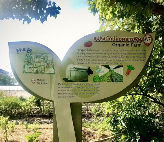 ปลดล็อก! ม.มหิดล ศาลายา ชวนเที่ยวแปลงผักปลอดสารพิษ