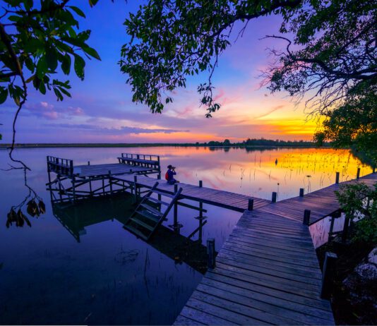 Dow เผยคู่มือเที่ยวป่าชายเลนด้วยตนเอง ฉบับรู้จริงฟินจัง