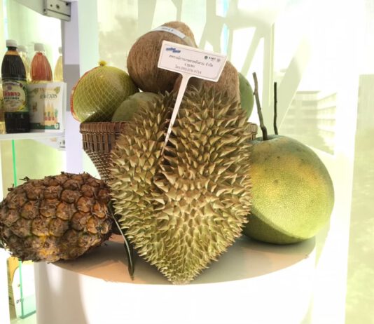 ทุเรียนไทย..ไปอินเดีย