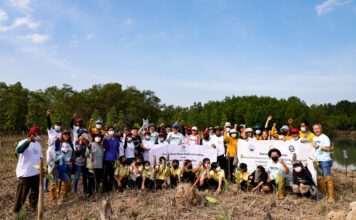 โตเกียวมารีนประกันชีวิต สานต่อกิจกรรมปลูกป่าชายเลน จ.ระนอง ปีที่ 2