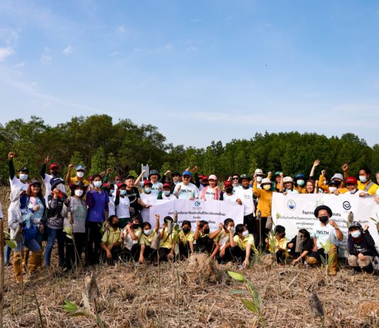 โตเกียวมารีนประกันชีวิต สานต่อกิจกรรมปลูกป่าชายเลน จ.ระนอง ปีที่ 2