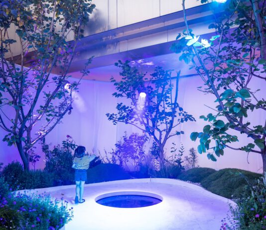 ‘กิ่งก้านใบ’ ออกแบบกรุงเทพ 2022 ชวนคนไทยอยู่ร่วมกับโควิดอย่างมีความสุข