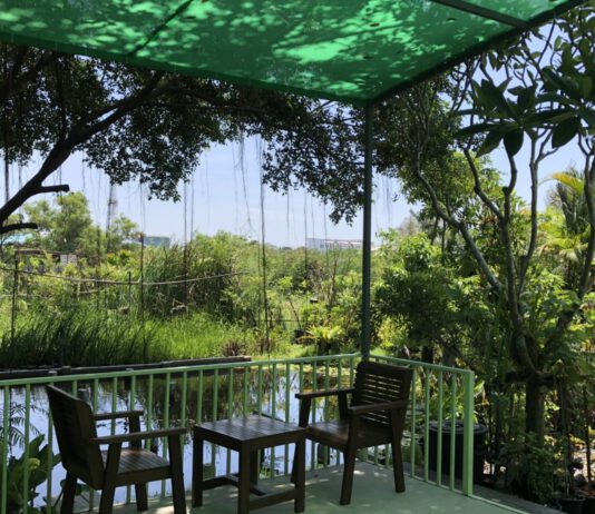 รักใบเขียว..ร้านต้นไม้ แทรกความหวานกรุ่นกาแฟรสเยี่ยม