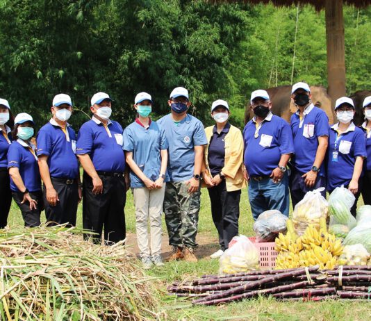 วิริยะประกันภัย-คณะสัตวแพทยศาสตร์ มช.ลงพื้นที่แก้ปัญหาช้าง เดินหน้าสร้างเครือข่ายเกษตรกร “ปลูกหญ้าคุณภาพ”