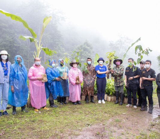 กรุงไทย–แอกซ่า ประกันชีวิต จัดกิจกรรมปลูกป่า ภายใต้กิจกรรม “Green Road Good Life” ณ อุทยานแห่งชาติดอยภูคา จ.น่าน