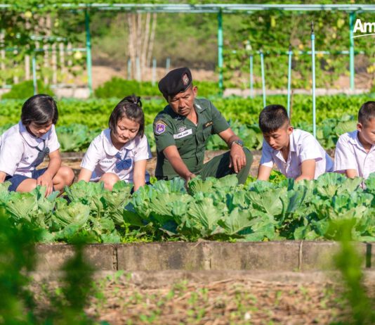 แอมเวย์ร่วมสานโครงการฟาร์มสุขภาพของหนู แหล่งโภชนาการสำคัญเพื่อสุขภาพดีอย่างยั่งยืน