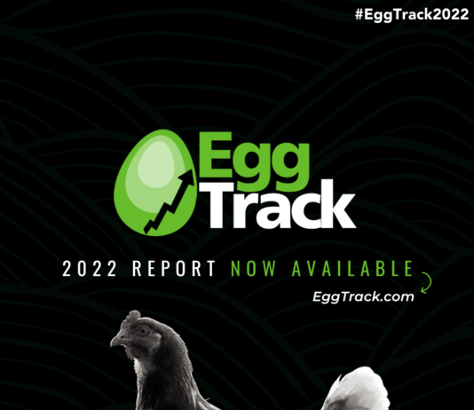 EggTrack ชี้ อุตสาหกรรมไข่ไก่โลกกำลังเปลี่ยนผ่านไปสู่การผลิตแบบไร้กรง
