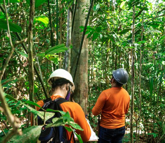 Dow ทุ่ม 350 ล้านหนุนโครงการสิ่งแวดล้อมทั่วโลก ดันชุมชนต้นแบบจัดการขยะในไทย