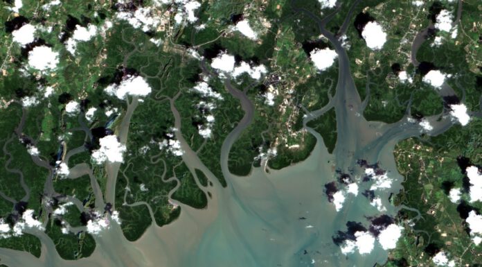 สุดไฮเทค! “Dow” หนุน กรมทะเลฯ ใช้ระบบติดตามพื้นที่ป่าชายเลนจากภาพถ่ายดาวเทียม