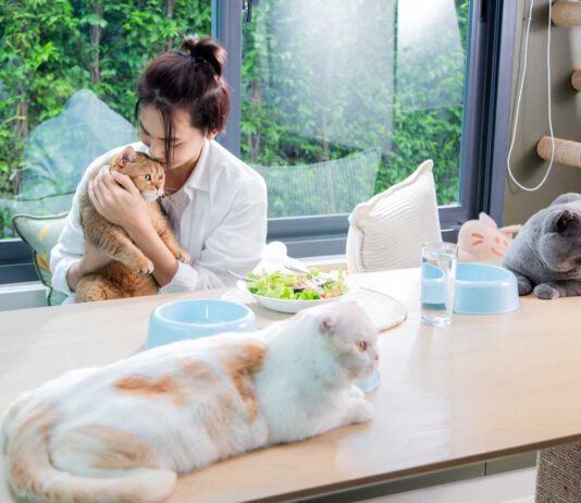 ศุภาลัยดึงโมเดล PET FRIENDLY COMMUNITY สร้างสรรค์พื้นที่ใหม่สุดชิค ตอบโจทย์ PET LOVERS