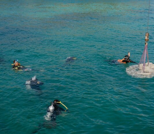 ศุภาลัย ระดมทีมสร้างดี แท็กทีมพาร์ทเนอร์สายกรีน SCG ‘สร้าง’บ้านปะการังสู่ทะเล ฟื้นฟูระบบนิเวศ ชลบุรี