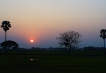 “คิดถึง” เพลงดังเหนือการตลาด Classic Marketing By ECON MAN