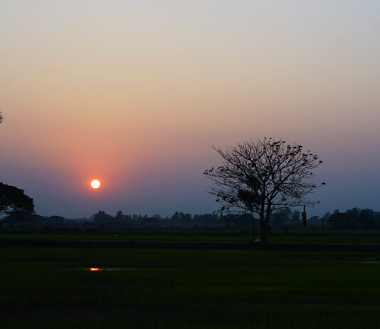 “คิดถึง” เพลงดังเหนือการตลาด Classic Marketing By ECON MAN