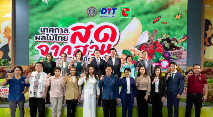 เทศกาลผลไม้ไทย สดจากสวน สู่บิ๊กซี ปี 2567 กลับมาอีกครั้ง พร้อมบุฟเฟต์ทุเรียน อิ่มไม่อั้น!