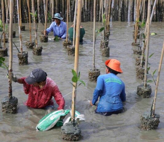 กนอ. ผนึกกำลังพันธมิตร ร่วมปลูกป่าชายเลนบางขุนเทียน สร้างแหล่งกักเก็บคาร์บอน เนื่องในวันสิ่งแวดล้อมโลก