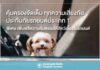 กรุงเทพประกันภัย เพิ่มฟรี “ความคุ้มครองสัตว์เลี้ยง” ให้ลูกค้าประกันภัยรถยนต์ ชั้น 1 รายใหม่และต่ออายุ