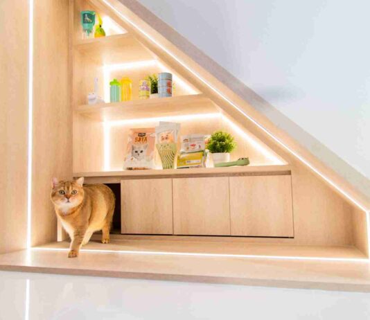 นวัตกรรมบ้านศุภาลัยโดนใจคนรักสัตว์เลี้ยง คว้ารางวัล PETS AWARDS 2024