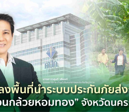 คปภ. ลงพื้นที่นำระบบประกันภัยส่งถึงมือ “ชาวสวนกล้วยหอมทอง” จังหวัดนครราชสีมา