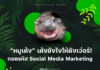 “หมูเด้ง” เด้งยังไงให้ดังเว่อร์! ถอดรหัส Social Media Marketing