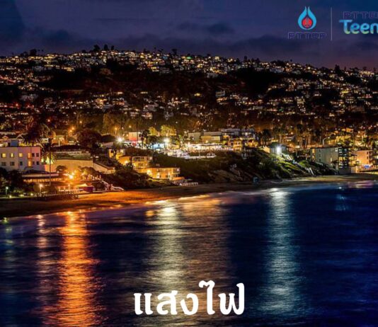 โคโค่แลมป์ แก้ปัญหาลูกเต่าหลงทาง นวัตกรรมพิทักษ์ชีวิตลูกเต่าทะเล จากนิสิตจุฬาฯ