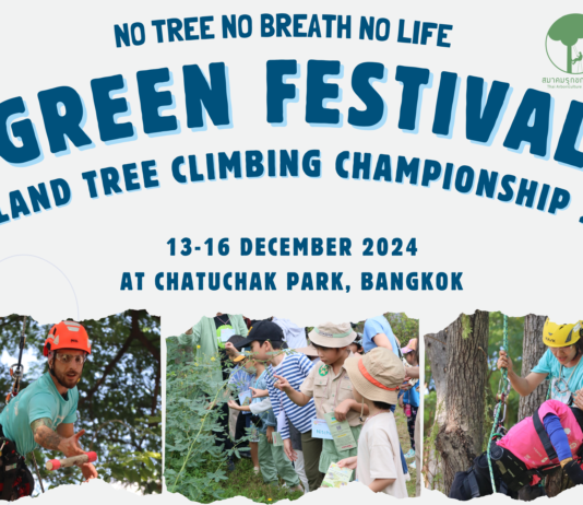 Green Festival 2024: “No Tree, No Breath, No Life”เพราะต้นไม้คือชีวิต คือลมหายใจ