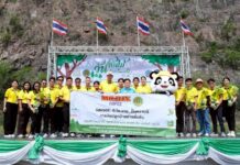 มิสเตอร์. ดี.ไอ.วาย. ปันความดี เดินหน้าปลูกป่าเพื่อความยั่งยืน