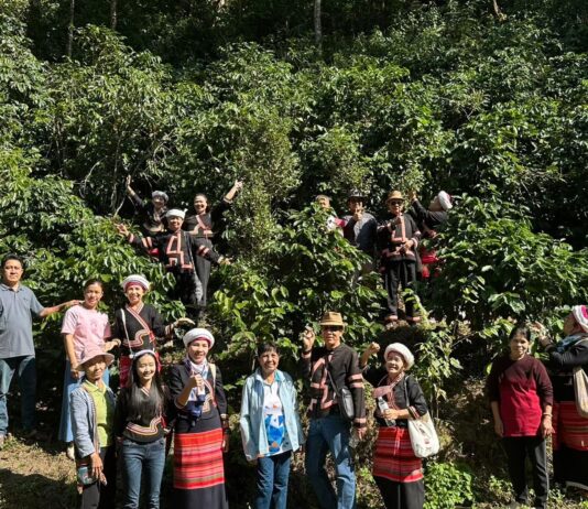คุณค่าที่มากกว่าเมล็ดกาแฟ : พัฒนาคน พัฒนาพื้นที่ ยกระดับห่วงโซ่กาแฟคุณภาพ สู่การอนุรักษ์ป่าลุ่มน้ำแม่กวงอย่างยั่งยืน