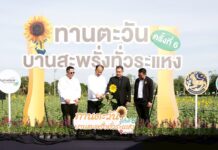 ซีพีแรม ชวนเช็กอิน “ทานตะวันบานสะพรั่งทั่วระแหง ครั้งที่ 6”