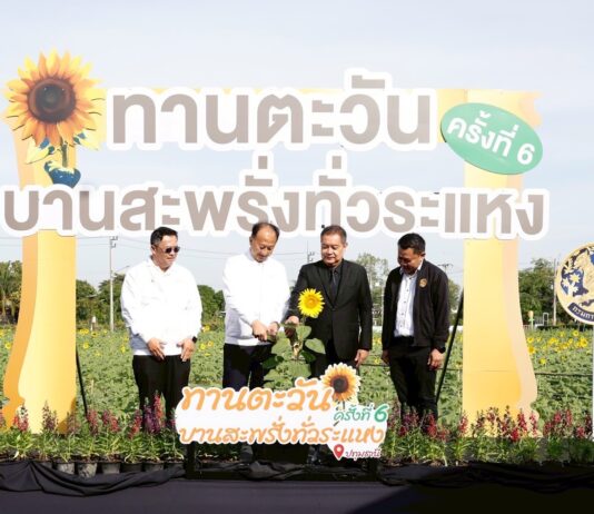ซีพีแรม ชวนเช็กอิน “ทานตะวันบานสะพรั่งทั่วระแหง ครั้งที่ 6”