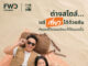 FWD ประกันชีวิต ต่อยอดอินไซต์ “Micro-communities”