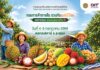 จากสวนถึงมือผู้บริโภค! กรมการค้าภายใน เดินหน้า “Thailand : The Land of Tropical Fruits 2026”ผ่านตลาดสตาร์ ระยอง