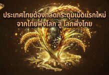 ประเทศไทยต้องกลัดกระดุมเม็ดแรกใหม่ จากไทยพึ่งโลก สู่ โลกพึ่งไทย