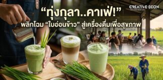 ทุ่งกุลา..คาเฟ่! พลิกโฉม “ใบอ่อนข้าว” สู่เครื่องดื่มเพื่อสุขภาพ