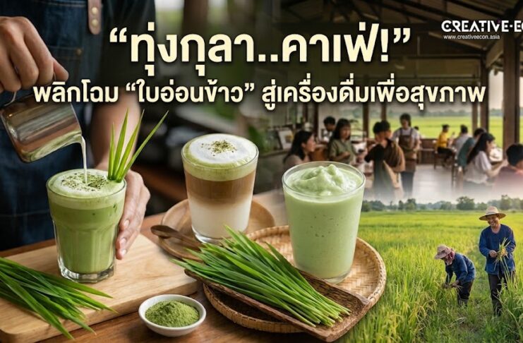 ทุ่งกุลา..คาเฟ่! พลิกโฉม “ใบอ่อนข้าว” สู่เครื่องดื่มเพื่อสุขภาพ