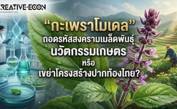 “กะเพราโมเดล” ถอดรหัสสงครามเมล็ดพันธุ์ นวัตกรรมเกษตร หรือ เขย่าโครงสร้างปากท้องไทย?