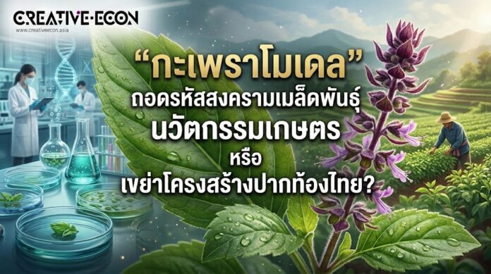 กะเพรา