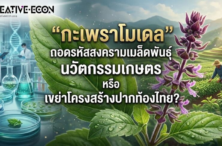 “กะเพราโมเดล” ถอดรหัสสงครามเมล็ดพันธุ์ นวัตกรรมเกษตร หรือ เขย่าโครงสร้างปากท้องไทย?